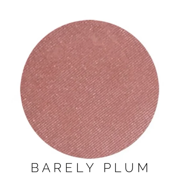 Mineral Blush - Image 8